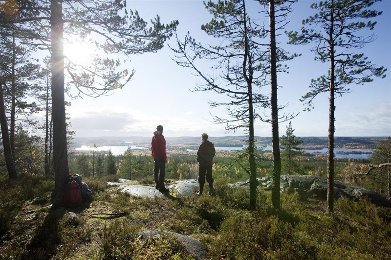 Maisemaa Herajärven kierrokselta. Kuva Tea Karvinen.