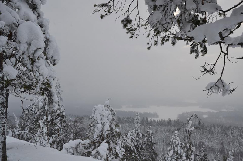 Talvista maisemaa Herajärveltä. Kuva ?